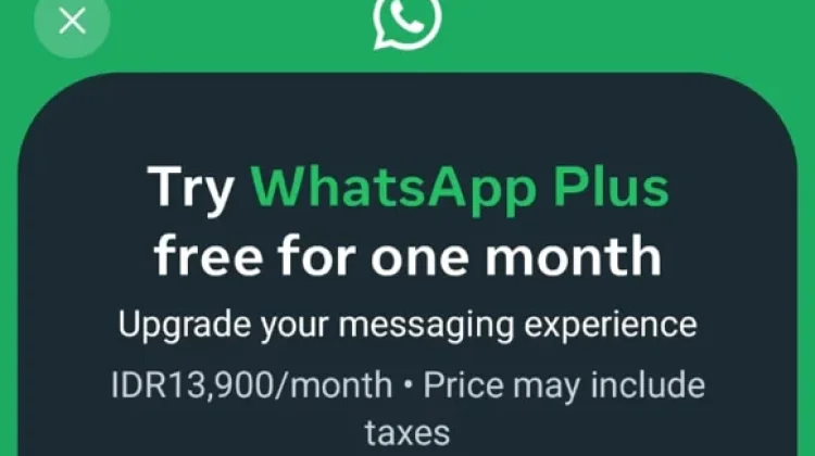 WhatsApp Plus Sudah Bisa Dicoba di Indonesia