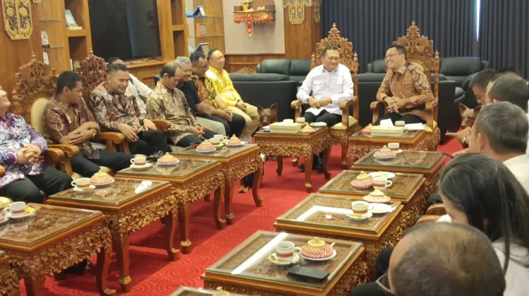 Bupati Magelang Pelajari Strategi Pembangunan Rumah Sakit di Gianyar