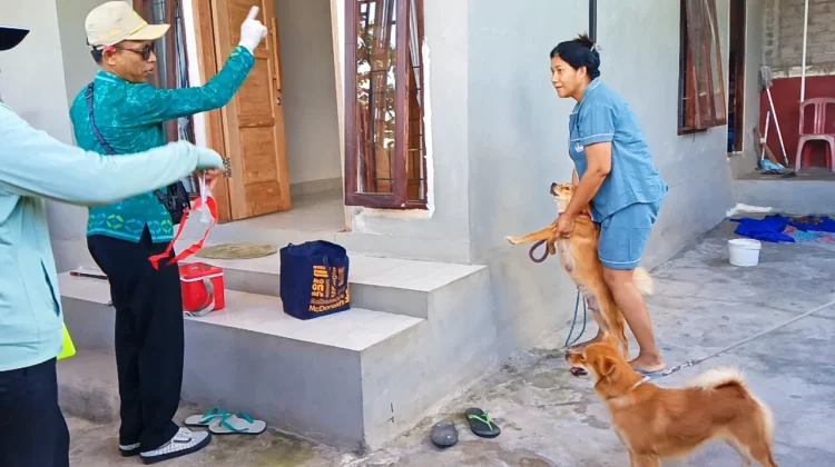 Total Lima Orang, Korban Gigitan Anjing Rabies di Jembrana Bertambah