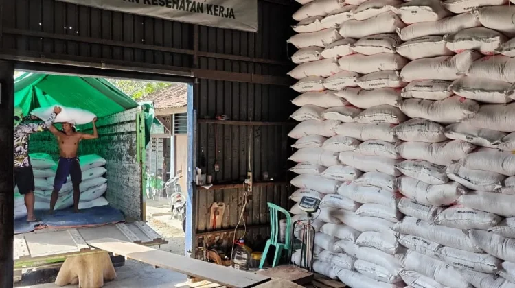 Babinsa Kelurahan Bitera Pastikan Distribusi Pupuk Subsidi Berjalan Aman