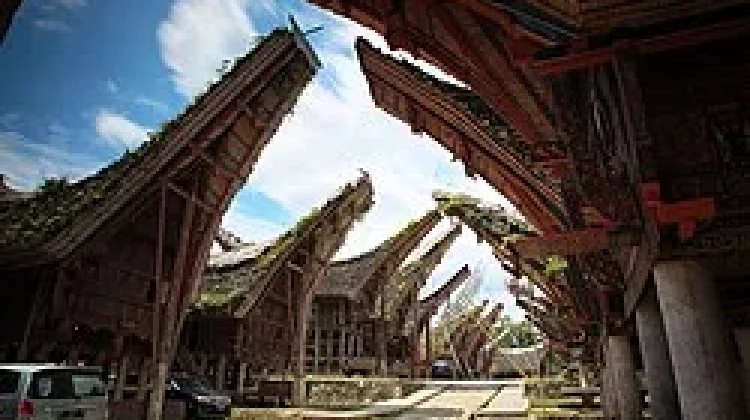 Tongkonan: Simbol Spiritual, Arsitektur Eksotis, dan Martabat Komunal Suku Toraja