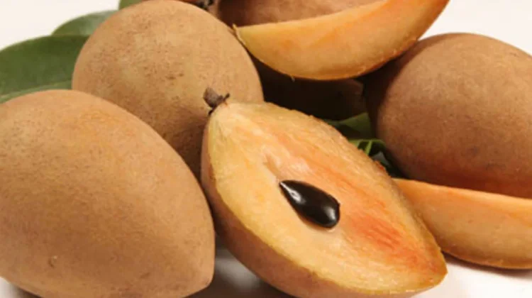Kenapa Buah Sawo Disebut Superfood Lokal ?