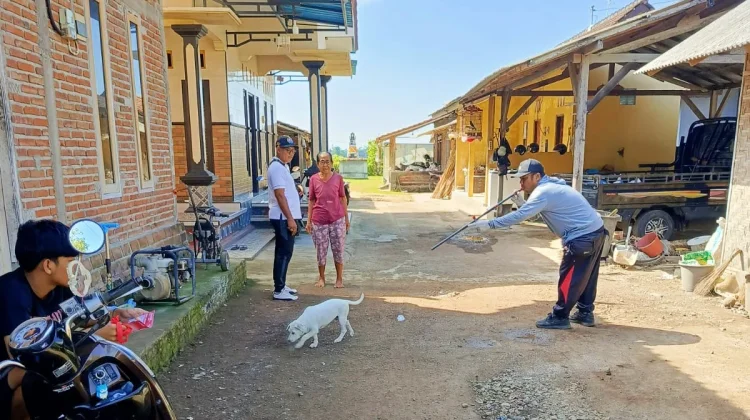 Kasus Gigitan Anjing Rabies di Kecamatan Negara Bertambah, Vaksinasi Digencarkan