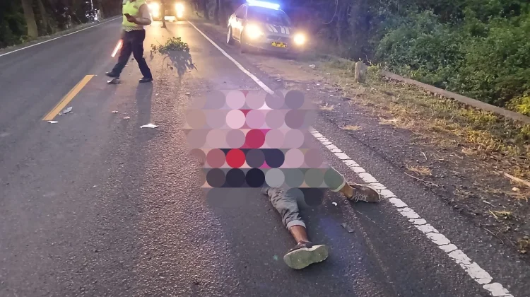 Laka Maut Gilimanuk: Pemotor Tewas di TKP usai Tabrak Truk Trailer