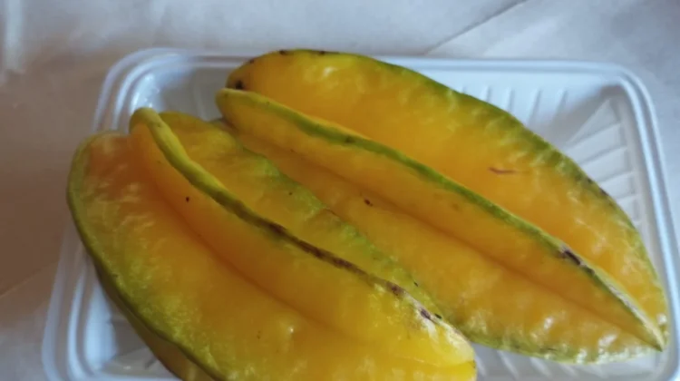 Belimbing Tak Hanya Menyegarkan namun Bermanfaat Bagi Tubuh