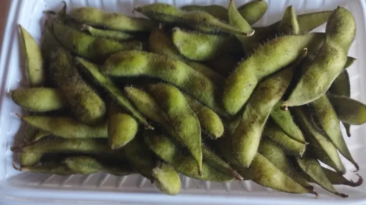 Edamame di Dapur Rumahan, Mudah, Murah,dan Bergizi.