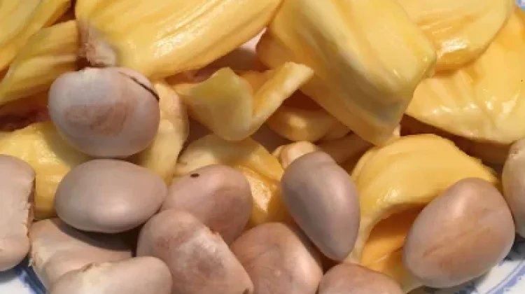 Manfaat Biji Nangka, Sumber Nutrisi yang Kerap Terabaikan
