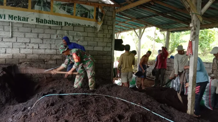 Babinsa Desa Babahan Kawal Distribusi Pupuk Organik Kelompok Tani Sipadu 659