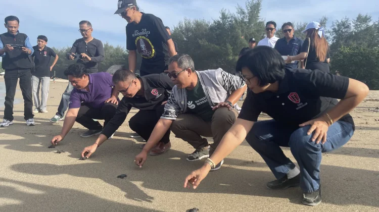 STIMI HANDAYANI Lepas Tukik dan Sisir Sampah di Pantai Muntig Siokan