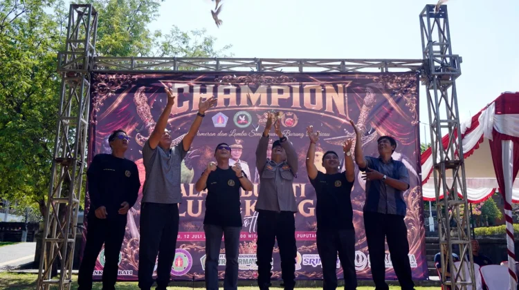 Bupati Satria Dorong Pertumbuhan Sektor Ekonomi Kreatif