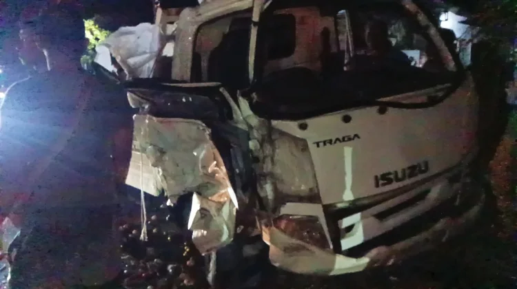 Tabrakan Adu Jangkrik Pikap dan Mobil di Jembrana