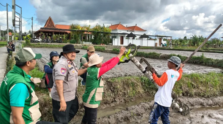 Tingkatkan Produksi Padi Gianyar, Sistem Pertanian Modern PM-AAS Diluncurkan