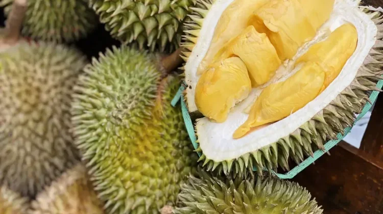 Pecinta Durian Wajib Coba! Ini Deretan Olahan Durian Kekinian
