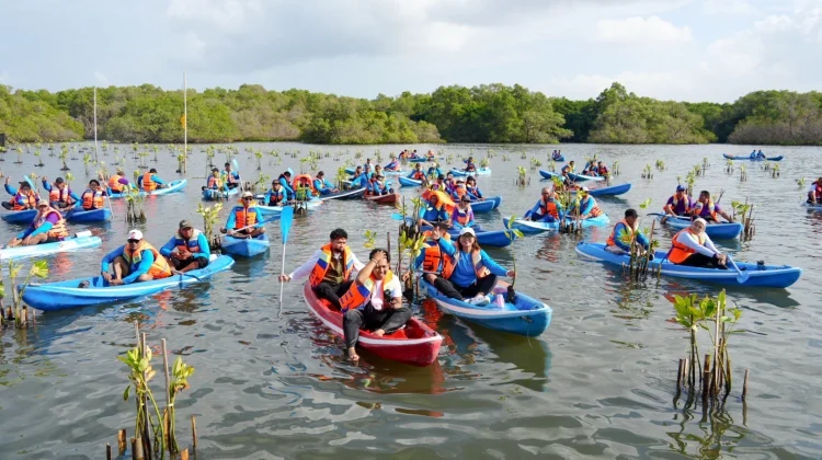 Hari Mangrove Sedunia, Aksi Tanam 1 Juta Bibit Mangrove
