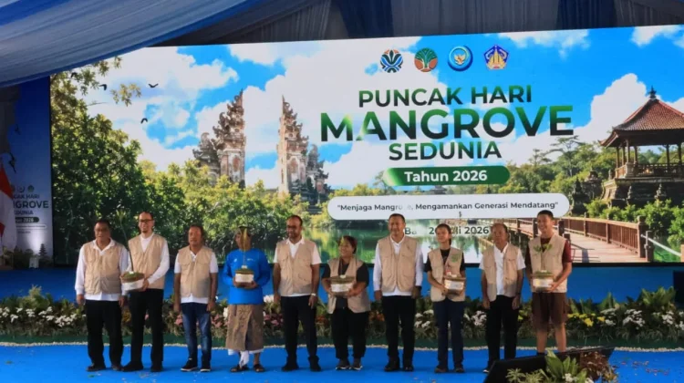 Perkuat Ekosistem, Gubernur Koster Dorong Gerakan Tanam Mangrove Setiap Bulan