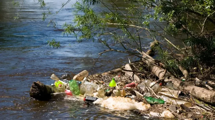 Sungai di Bali Kritis Ekologis akibat Pencemaran Lingkungan