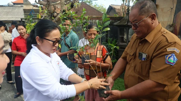 Pemkot Denpasar Perkuat Pembinaan Telajakan, Integrasikan dengan Posyandu 6 SPM