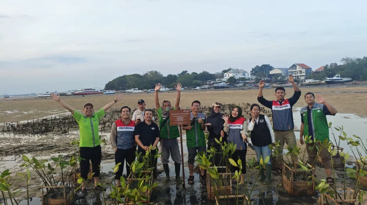 DSM Bali dan Pertamina Tanam 150 Bibit Mangrove Peringati Hari Mangrove Sedunia