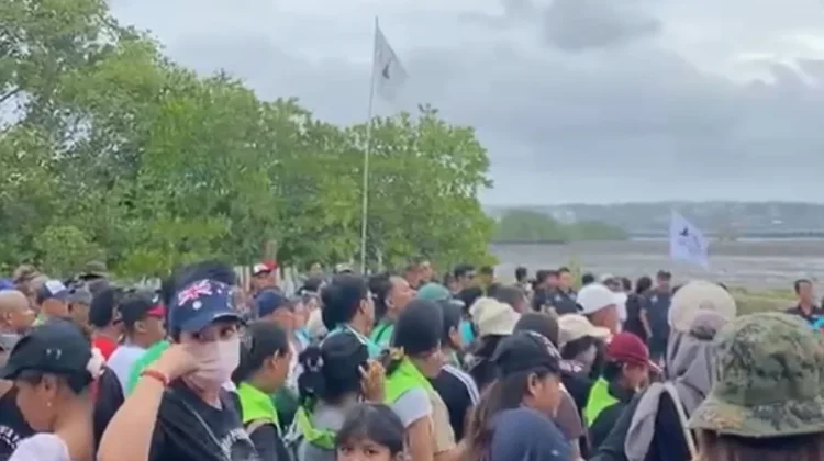 HMI Denpasar Ikut Gerakan Tanam Mangrove, Perkuat Kolaborasi Jaga Pesisir Bali
