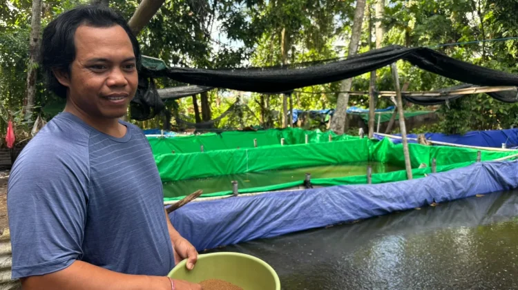KUR BRI Dukung Pengembangan UMKM Pembibitan Lele di Bali