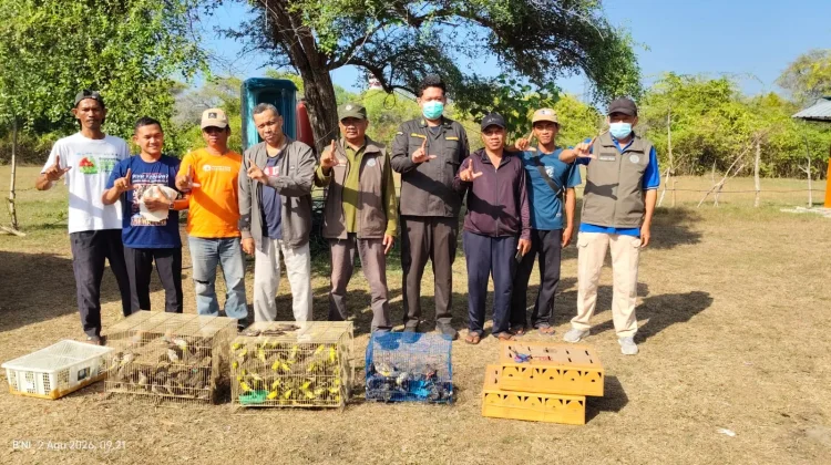 Gagal Diselundupkan ke Pulau Jawa, BKSDA Bali Amankan 284 Burung di Gilimanuk
