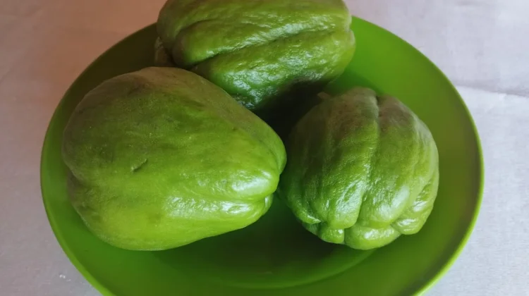 Labu Siam, Sayur Murah Kaya Serat dan Rendah Kalori