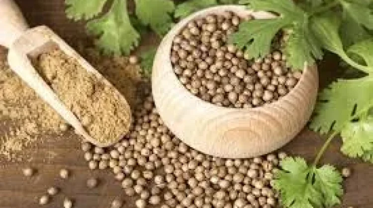Resep Rahasia Nenek, Rebusan Ketumbar Penakluk Penyakit