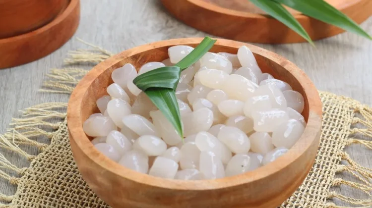 Kolang Kaling Makanan Sehat yang Sering Salah Kaprah