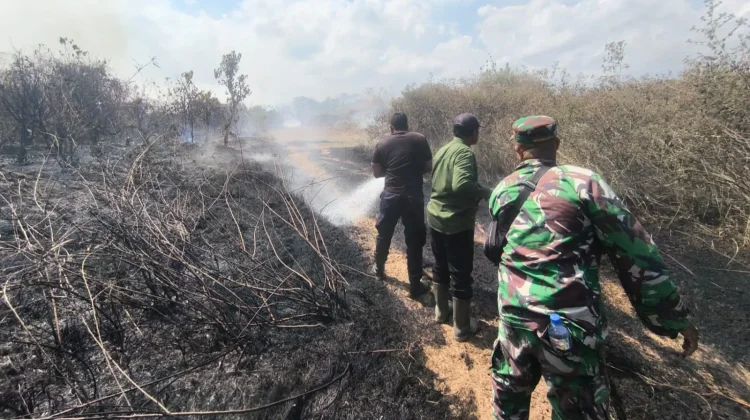 Lahan 1,5 Hektar di Pekutatan Terbakar, Damkar Berjibaku Padamkan Si Jago Merah