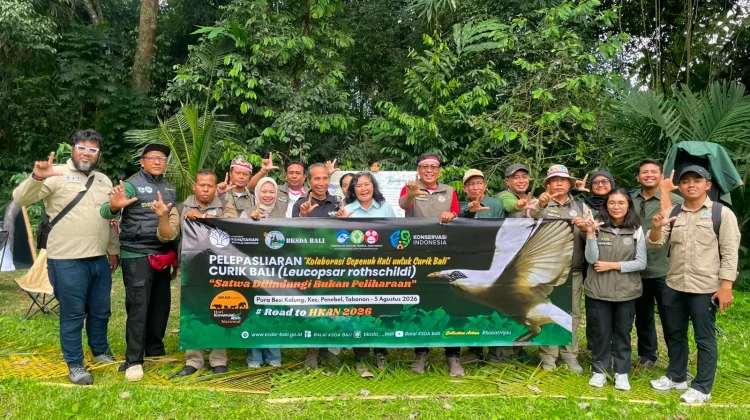 Enam Curik Bali Dilepasliarkan, Kolaborasi Perkuat Konservasi Satwa Endemik