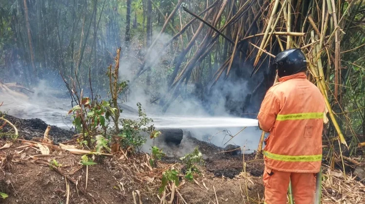 Respon Cepat Damkar Jembrana Jinakkan Kebakaran Lahan