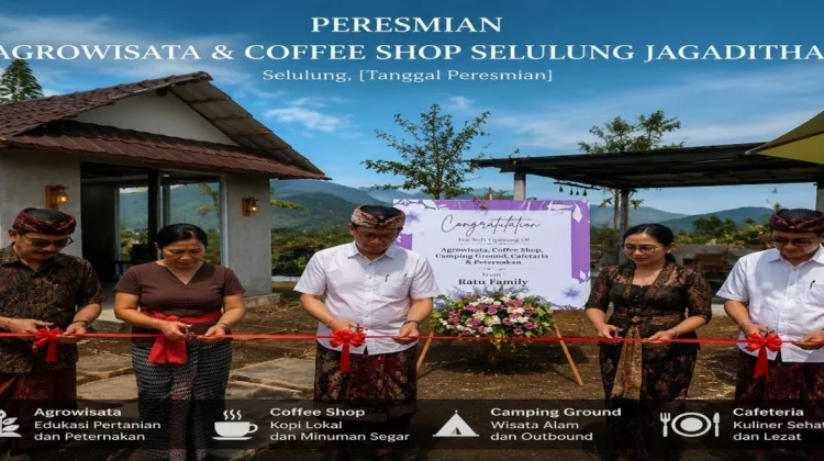Kebun Jeruk Disulap Jadi Coffee Shop, Petani Selulung Kintamani Buka Sumber Cuan