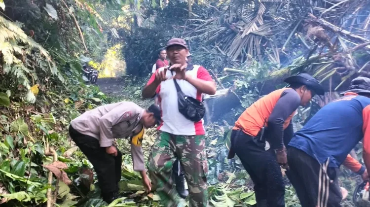 Bhabinkamtibmas Desa Tegak bersama BPBD Evakuasi Pohon Tumbang