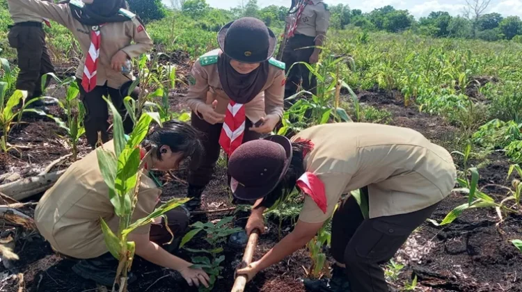 Pramuka Jadi Gerakan Nyata Dukung Swasembada Pangan Menuju Indonesia Emas 2045