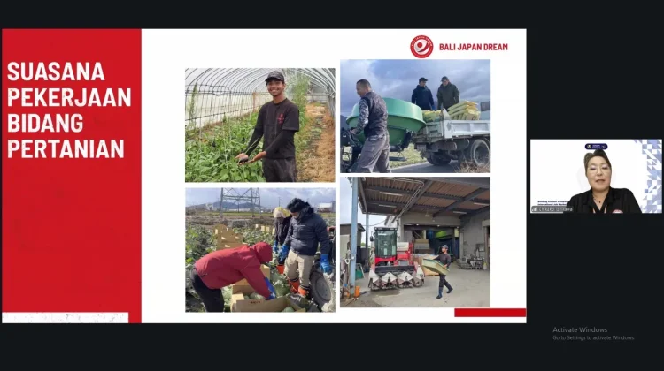 Tenaga Kerja Teknis Indonesia Mengisi Sektor Pertanian Berteknologi di Jepang