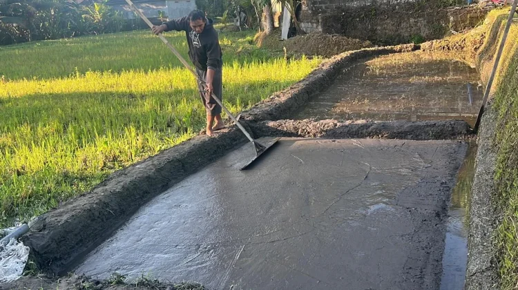 FPB Undwi Siapkan Program Pemberdayaan Petani di Subak Pujung Kaja