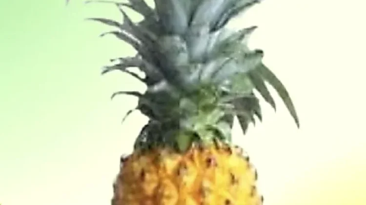 Manfaat Buah Nanas bagi Kesehatan