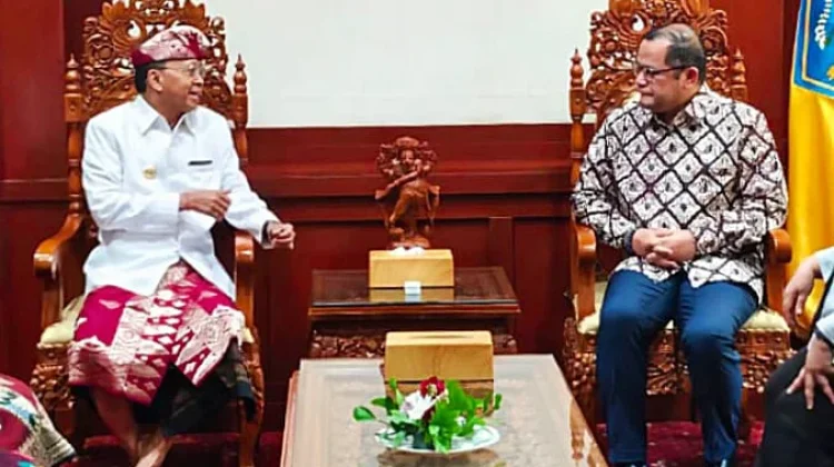 Perkuat Diplomasi Ekonomi, Bali Buka Peluang Investasi Eropa di Sektor Kesehatan