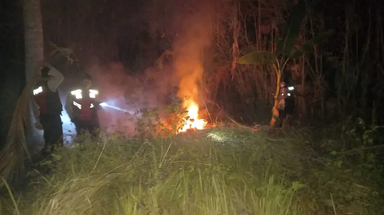 Kebun Luas 5 Are di Melaya Terbakar, Diduga akibat Puntung Rokok