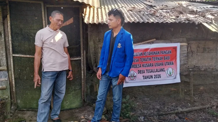 Potensi Limbah Pertanian Lokal Bahan Pakan Fermentasi Babi Nutrisi Tinggi
