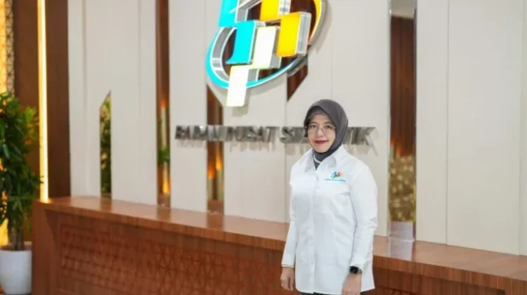 DTSEN Jadi Rujukan Bersama, BPS Jelaskan Arti Desil