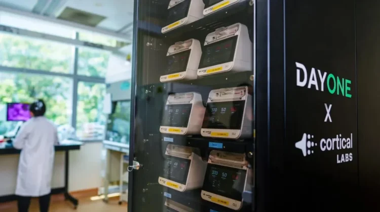 Universitas di Singapura Buat Prototipe Pusat Data Biologis dengan Sel Otak