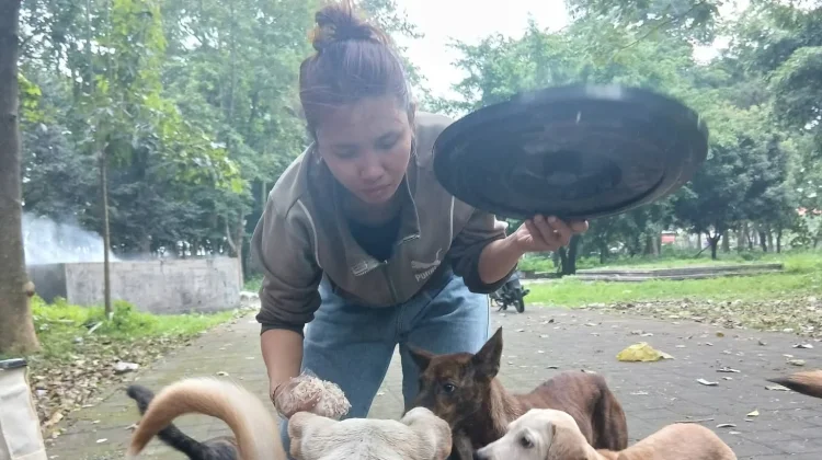 Kepedulian Gusti Ayu Sri Trisna Dewi kepada Anjing Liar