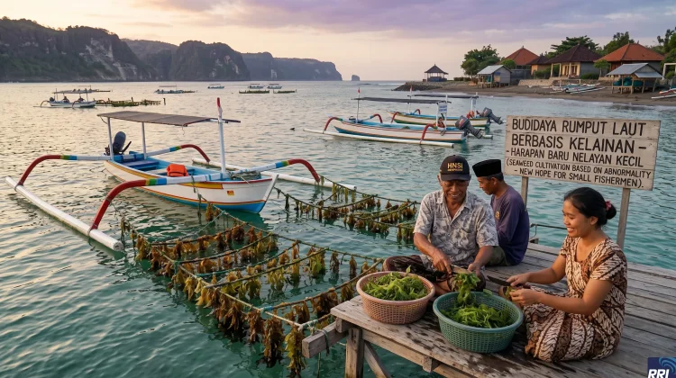 Solusi Ekonomi Pesisir, HNSI Dorong Optimalisasi Budidaya Laut di Bali