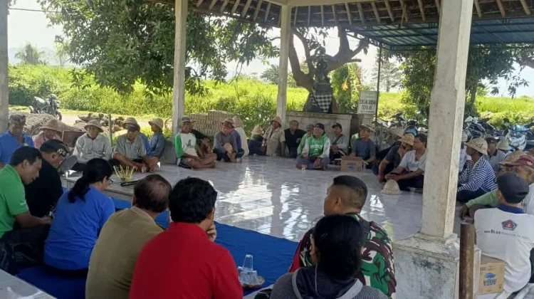 Subak Toye Hee Bahas Pola Tanam Padi Tahap III