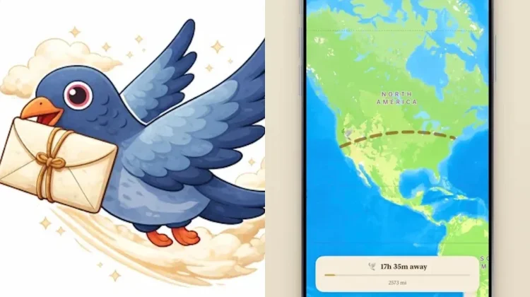 Aplikasi Chat Carrier Pidge Kirim Pesan Pakai Merpati Virtual