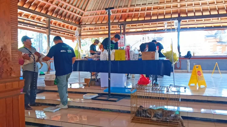Kasus Positif Rabies Meningkat, Jembrana Gelar Vaksinasi dan Sterilisasi HPR