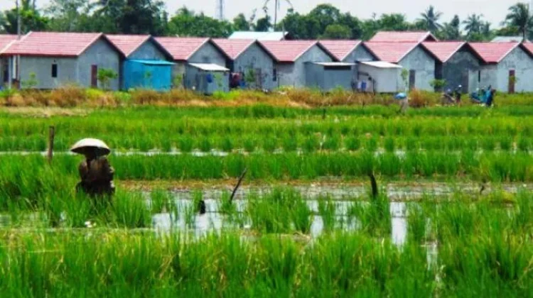 Koster Tegaskan Alih Fungsi Lahan Bali Harus Dikendalikan
