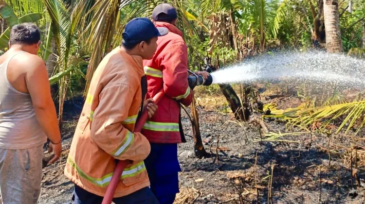 Gerak Cepat Damkar Jembrana Padamkan Dua Kebakaran Lahan