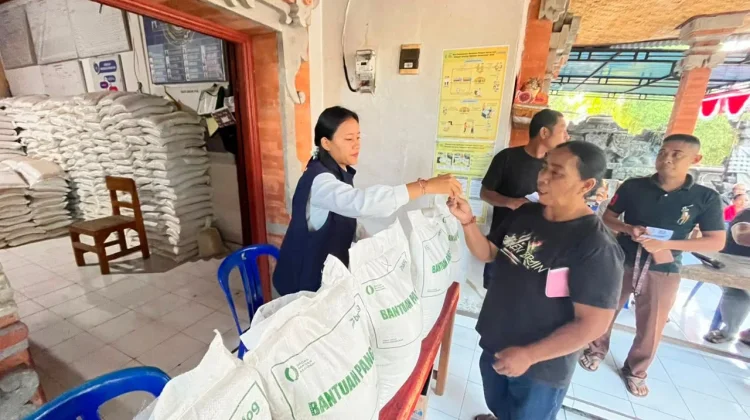 BULOG Bali Salurkan Bantuan Pangan kepada 302.397 Penerima